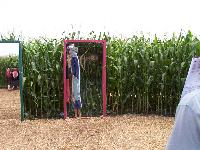 zenphoto/albums/2003-a-2010/2004/colmar 2004/comar 2004 059.jpg