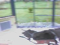 zenphoto/albums/2003-a-2010/2008/parquet veranda/IMAGE_088.jpg