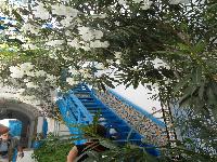 zenphoto/albums/2014/croisiere/tunisie/CROISIERE EXCURSIONS 115.jpg