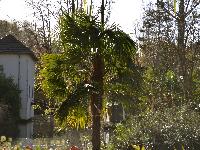 zenphoto/albums/2015/beauval/DSC_0016.jpg
