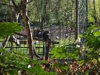 zenphoto/albums/2015/beauval/DSC_0198.jpg
