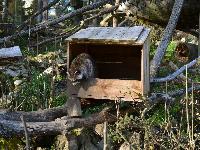 zenphoto/albums/2015/beauval/DSC_0240.jpg