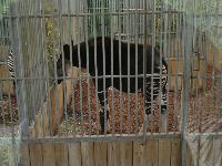 zenphoto/albums/2015/beauval/DSC_0293.jpg