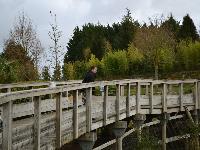 zenphoto/albums/2015/beauval/DSC_0745.jpg