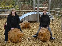 zenphoto/albums/2015/beauval/DSC_0802.jpg