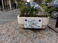 zenphoto/albums/2015/hyeres/13 septembre marché bormes lavandou/drouault0015.jpg