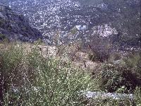 zenphoto/albums/2015/hyeres/14 septembre toulon mont farron/motte0050.jpg