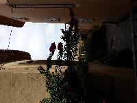 zenphoto/albums/2015/hyeres/15 septembre saint tropez/julien0049.jpg