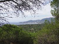 zenphoto/albums/2015/hyeres/15 septembre saint tropez/leclerc0046.jpg