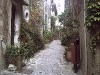 zenphoto/albums/2015/hyeres/15 septembre saint tropez/motte0077.jpg