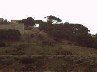 zenphoto/albums/2015/hyeres/15 septembre saint tropez/motte0098.jpg