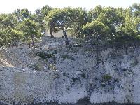 zenphoto/albums/2015/hyeres/18 septembre cassis/cherin0254.jpg