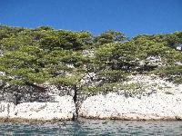 zenphoto/albums/2015/hyeres/18 septembre cassis/leclerc0126.jpg