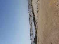 zenphoto/albums/2018/sicile/6 - Ile de Mothia/20180429_165706.jpg