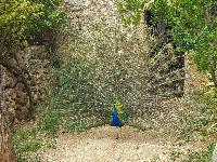 zenphoto/albums/2018/sicile/8 - Grotte de Mangiapane/20180430_110446.jpg