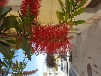 zenphoto/albums/2018/sicile/Divers et insolites/20180509_152211.jpg